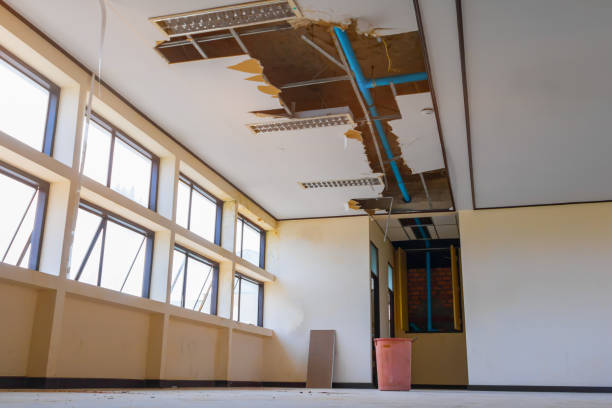 Best Commercial water damage restoration  in Daly City, CA
