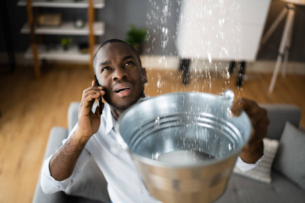 Best Flood damage cleanup  in Daly City, CA