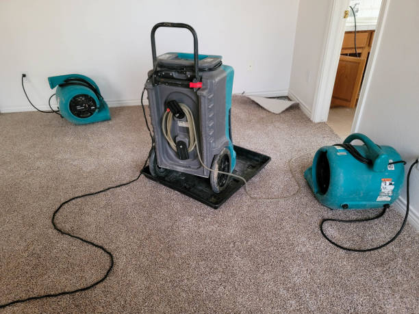 Best Water damage restoration experts  in Daly City, CA