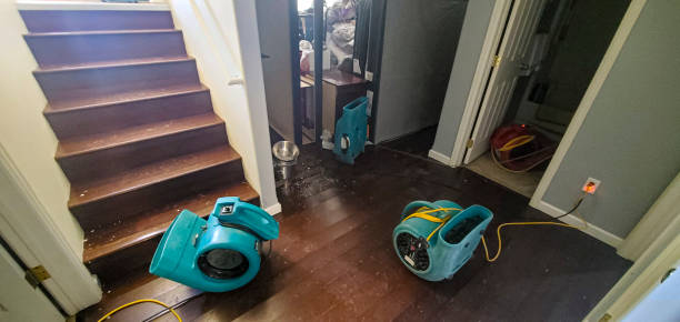 Best Carpet water damage restoration  in Daly City, CA