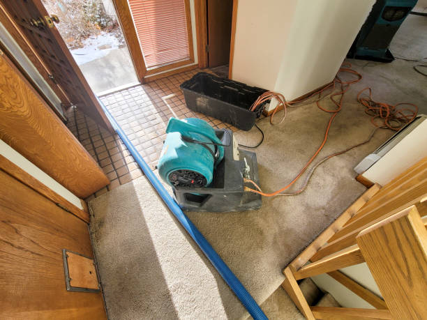 Best Professional water damage repair  in Daly City, CA
