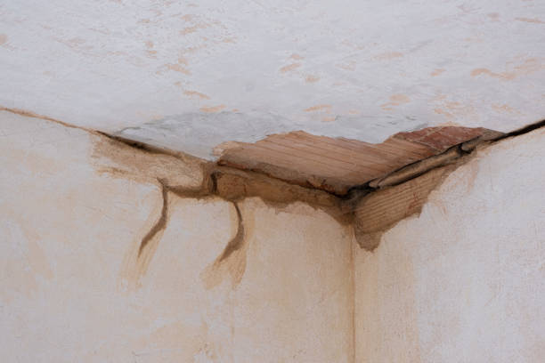 Best Professional water damage repair  in Daly City, CA