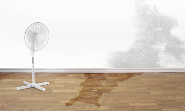 Best Sewage cleanup and water damage restoration  in Daly City, CA