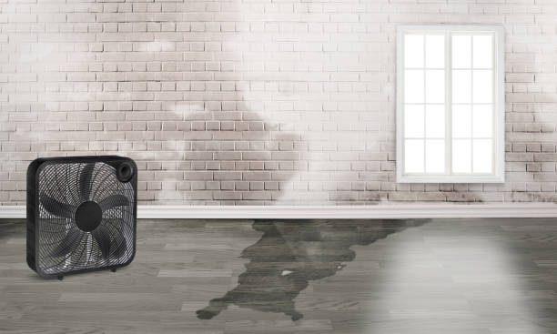 Sewage cleanup and water damage restoration in CA