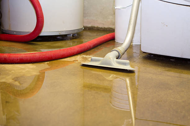Best Water damage restoration near me  in Daly City, CA