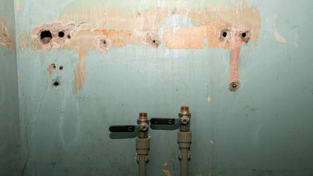 Best Water damage restoration cost  in Daly City, CA