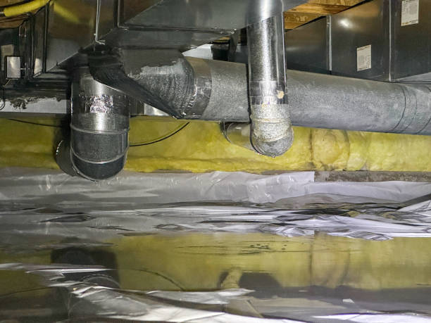 Best Sewage cleanup and water damage restoration  in Daly City, CA