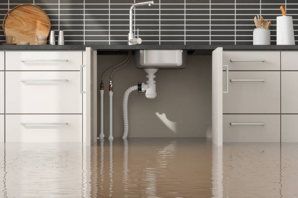 Best Local water damage restoration  in Daly City, CA