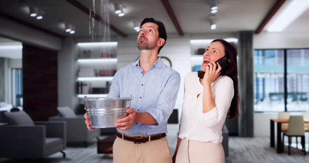 Best Fire Damage Restoration  in Daly City, CA