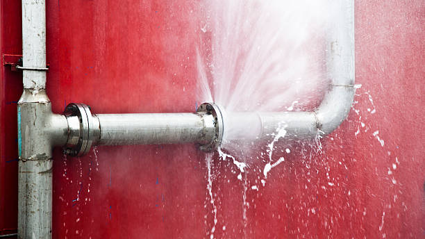 Best Mold removal after water damage  in Daly City, CA