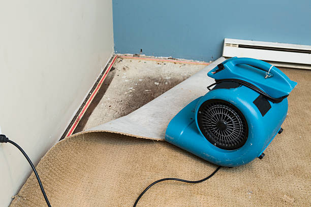 Best Water damage restoration insurance claims  in Daly City, CA